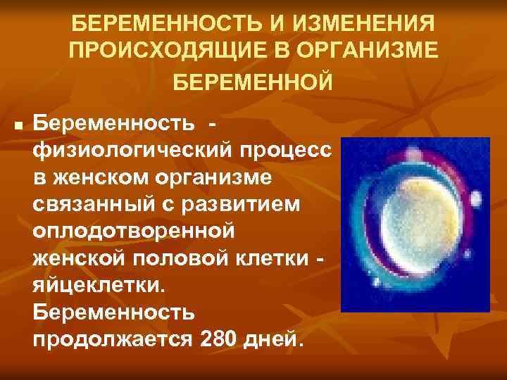 БЕРЕМЕННОСТЬ И ИЗМЕНЕНИЯ ПРОИСХОДЯЩИЕ В ОРГАНИЗМЕ БЕРЕМЕННОЙ n Беременность физиологический процесс в женском организме