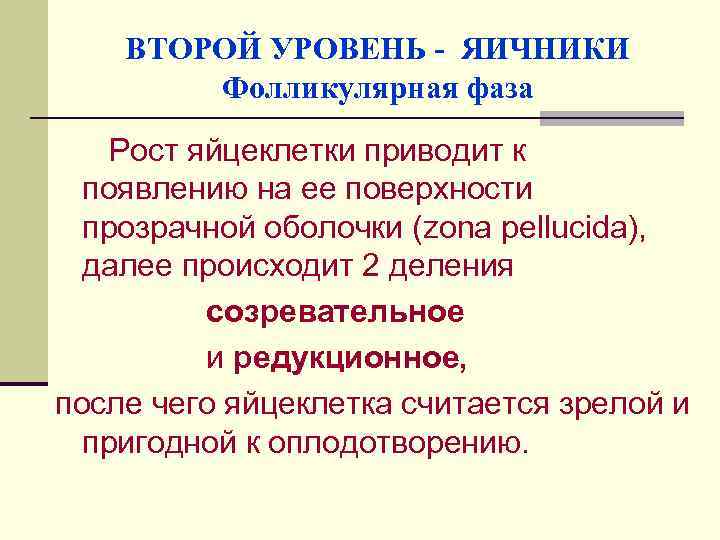 ВТОРОЙ УРОВЕНЬ - ЯИЧНИКИ Фолликулярная фаза Рост яйцеклетки приводит к появлению на ее поверхности