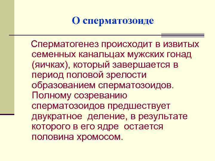 О сперматозоиде Сперматогенез происходит в извитых семенных канальцах мужских гонад (яичках), который завершается в