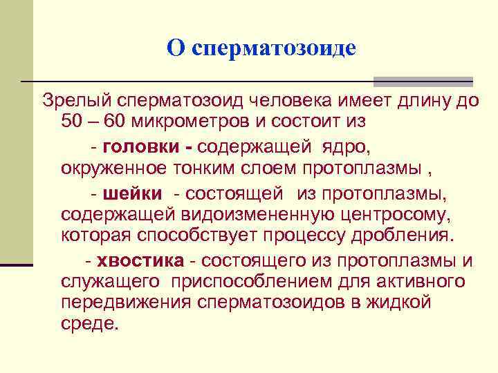 О сперматозоиде Зрелый сперматозоид человека имеет длину до 50 – 60 микрометров и состоит