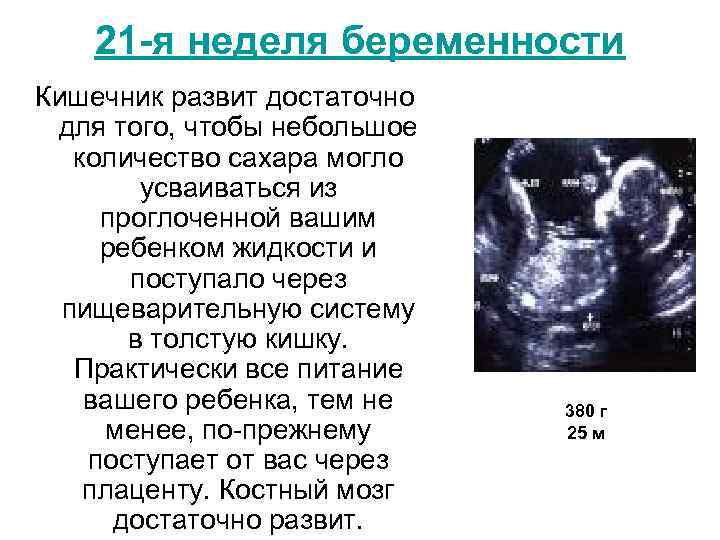 21 -я неделя беременности Кишечник развит достаточно для того, чтобы небольшое количество сахара могло