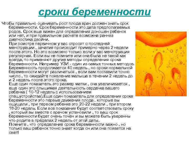 Дата беременности. Забеременеть. Продолжительность последнего периода беременности. Последовательность периодов беременности. Срок беременности при котором.