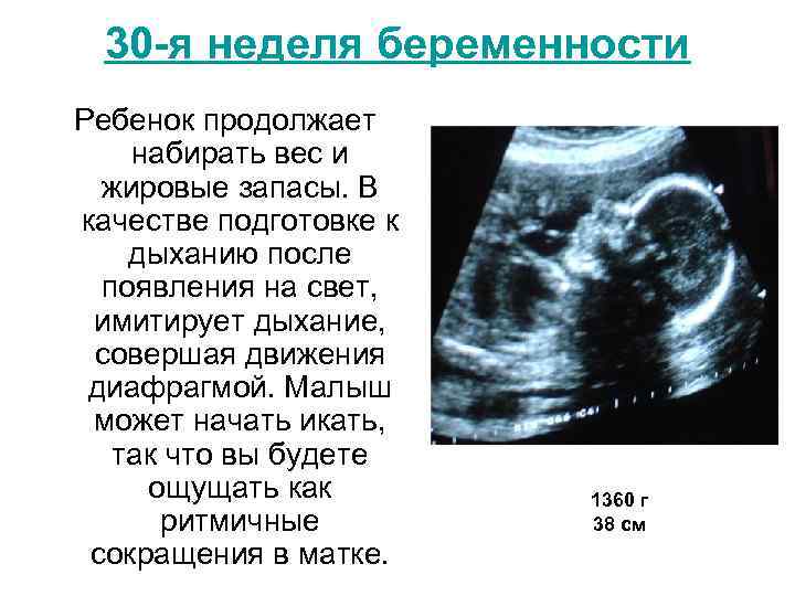 30 -я неделя беременности Ребенок продолжает набирать вес и жировые запасы. В качестве подготовке