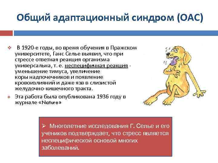 Адаптационный синдром презентация