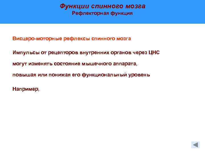 Функции спинного мозга Рефлекторная функция Висцеро-моторные рефлексы спинного мозга Импульсы от рецепторов внутренних органов