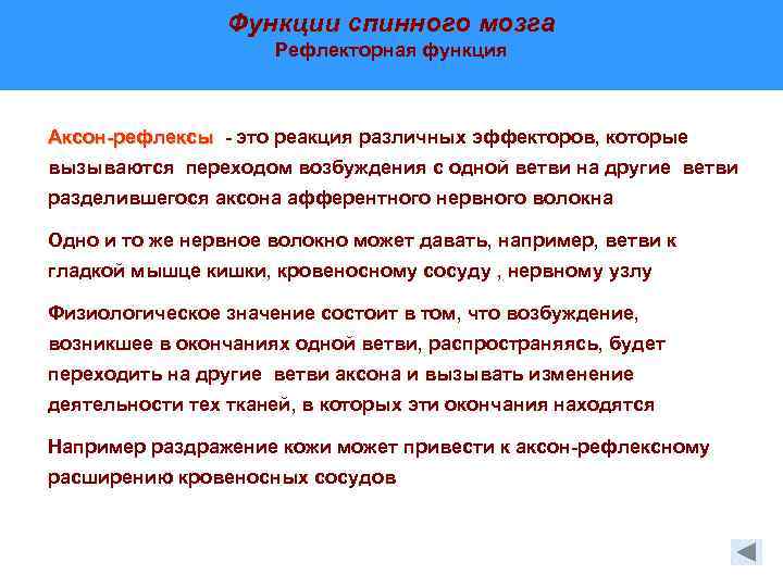 Функции спинного мозга Рефлекторная функция Аксон-рефлексы - это реакция различных эффекторов, которые вызываются переходом