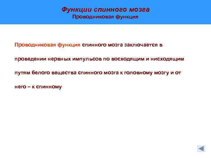 Функции спинного мозга Проводниковая функция спинного мозга заключается в проведении нервных импульсов по восходящим