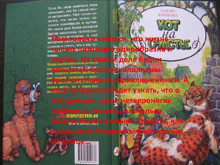 Нам только кажется, что жизнь наших питомцев однообразна и скучна. На самом деле будни