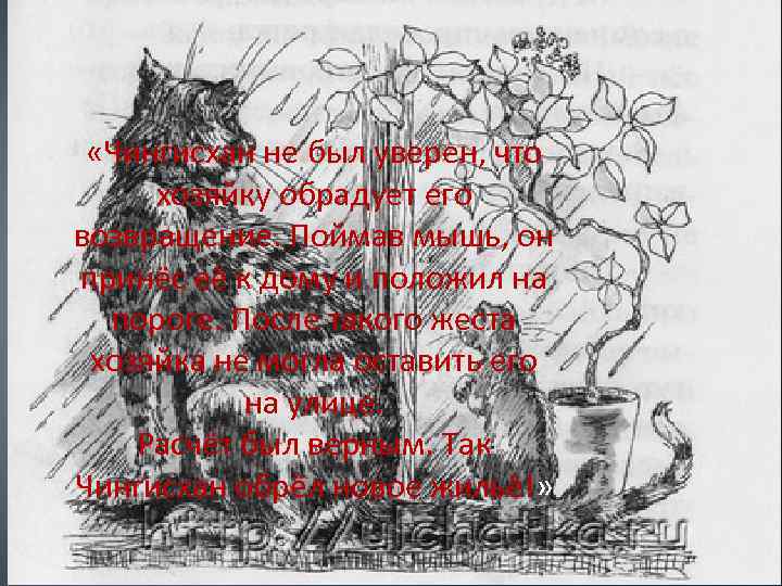  «Чингисхан не был уверен, что хозяйку обрадует его возвращение. Поймав мышь, он принёс