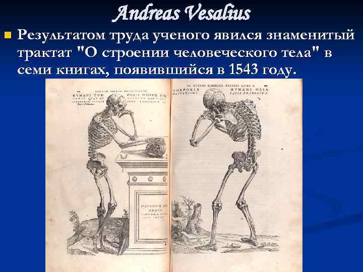 Andreas Vesalius n Результатом труда ученого явился знаменитый трактат 