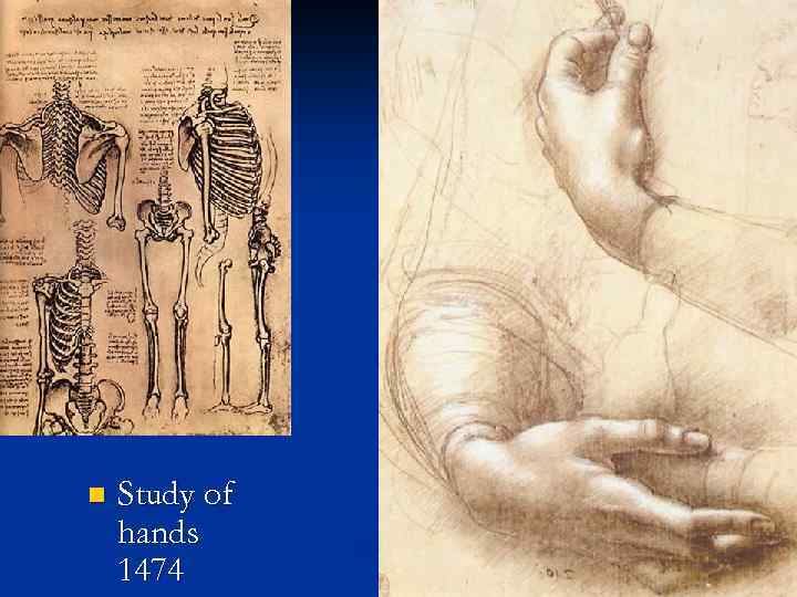 n Study of hands 1474 