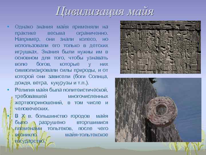 Цивилизация майя • • • Однако знания майя применяли на практике весьма ограниченно. Например,