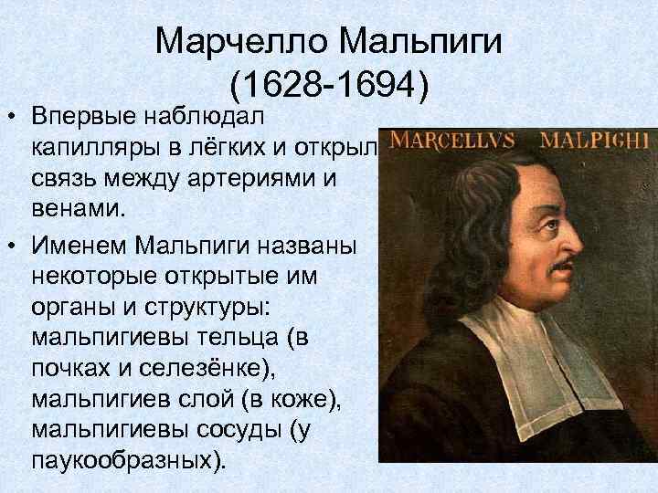 Какое открытие века. Марчелло Мальпиги (1628—1694). Марчелло Мальпиги (1628-1694 ) гистология. Ученый Марчелло Мальпиги. М Мальпиги вклад в биологию.