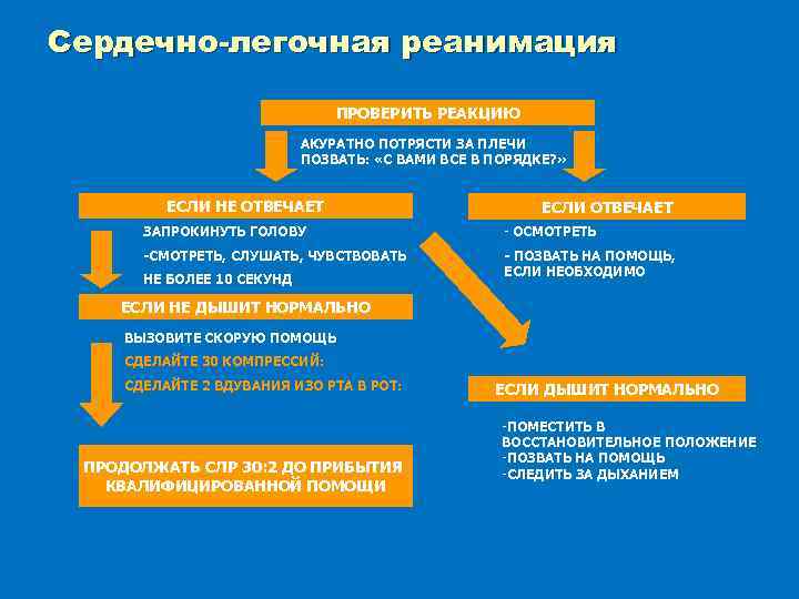 Сердечно-легочная реанимация ПРОВЕРИТЬ РЕАКЦИЮ АКУРАТНО ПОТРЯСТИ ЗА ПЛЕЧИ ПОЗВАТЬ: «С ВАМИ ВСЕ В ПОРЯДКЕ?