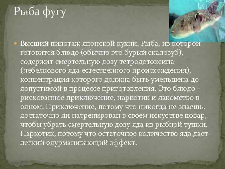 Рыба фугу Высший пилотаж японской кухни. Рыба, из которой готовится блюдо (обычно это бурый