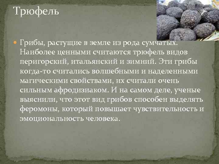 Трюфель Грибы, растущие в земле из рода сумчатых. Наиболее ценными считаются трюфель видов перигорский,