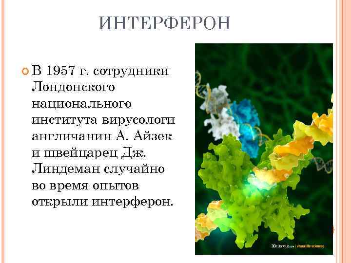 Проекты по биологии 11 класс. Англичанин а. Айзек и швейцарец Дж. Линдеман.