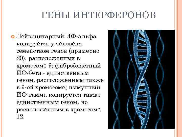 Исследовательский проект по биологии 11 класс темы