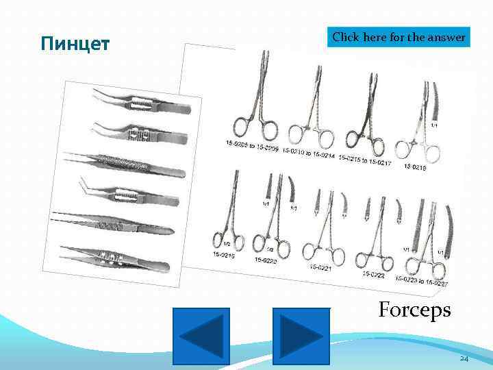 Пинцет Click here for the answer Forceps 24 