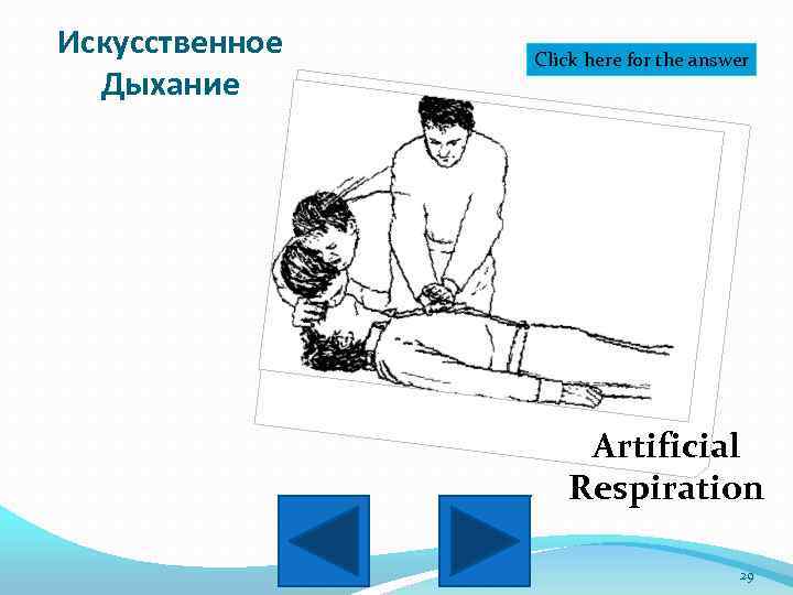 Искусственное Дыхание Click here for the answer Artificial Respiration 29 