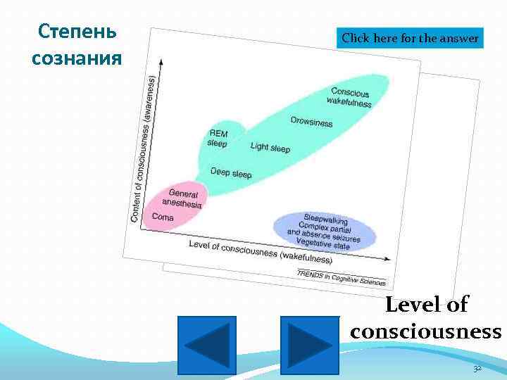 Степень сознания Click here for the answer Level of consciousness 32 