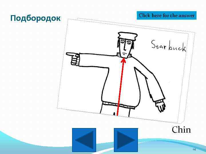 Подбородок Click here for the answer Chin 14 