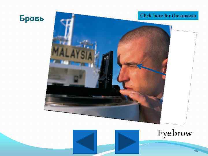 Бровь Click here for the answer Eyebrow 20 