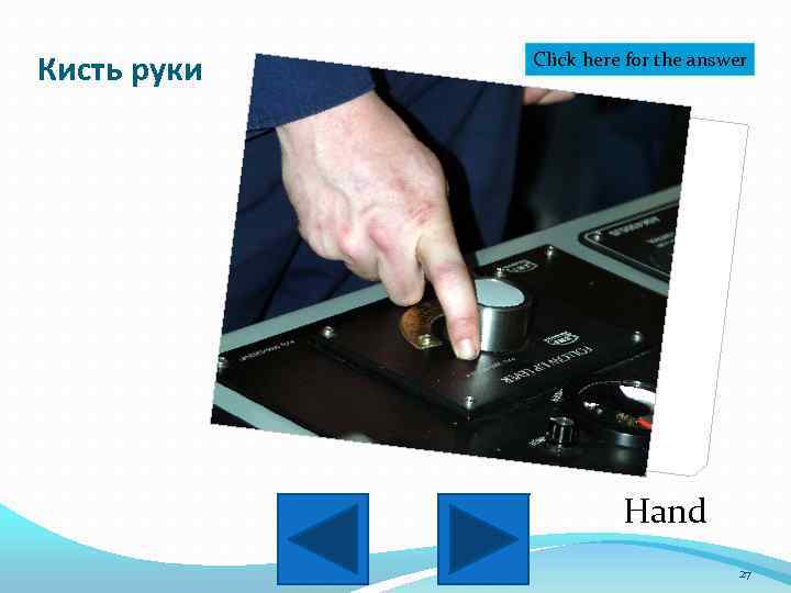 Кисть руки Click here for the answer Hand 27 