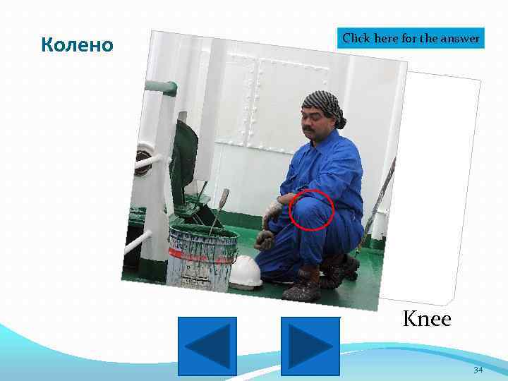 Колено Click here for the answer Knee 34 