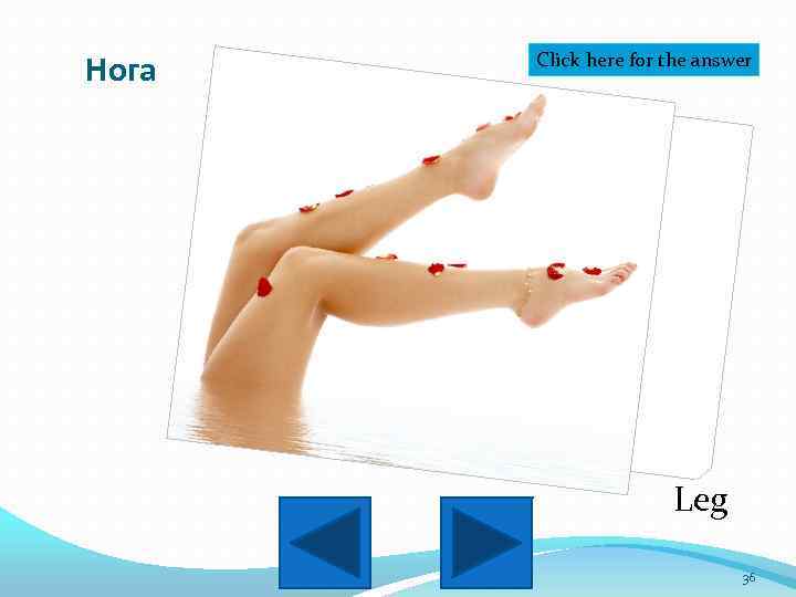 Нога Click here for the answer Leg 36 