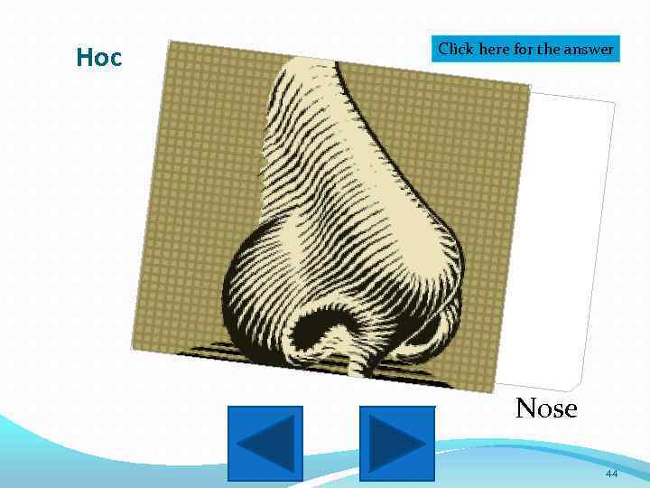 Нос Click here for the answer Nose 44 