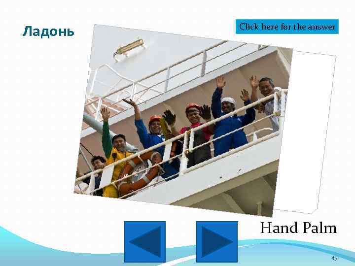 Ладонь Click here for the answer Hand Palm 45 