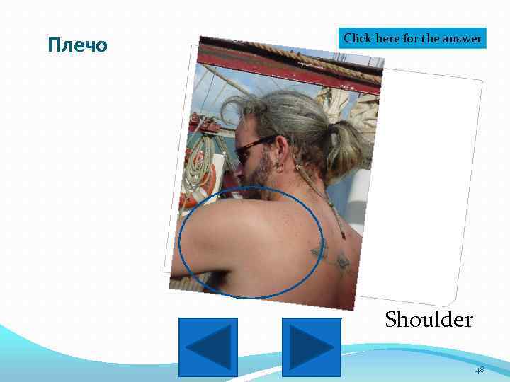 Плечо Click here for the answer Shoulder 48 