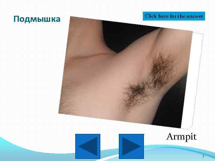 Подмышка Click here for the answer Armpit 5 