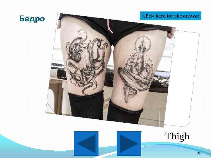 Бедро Click here for the answer Thigh 55 