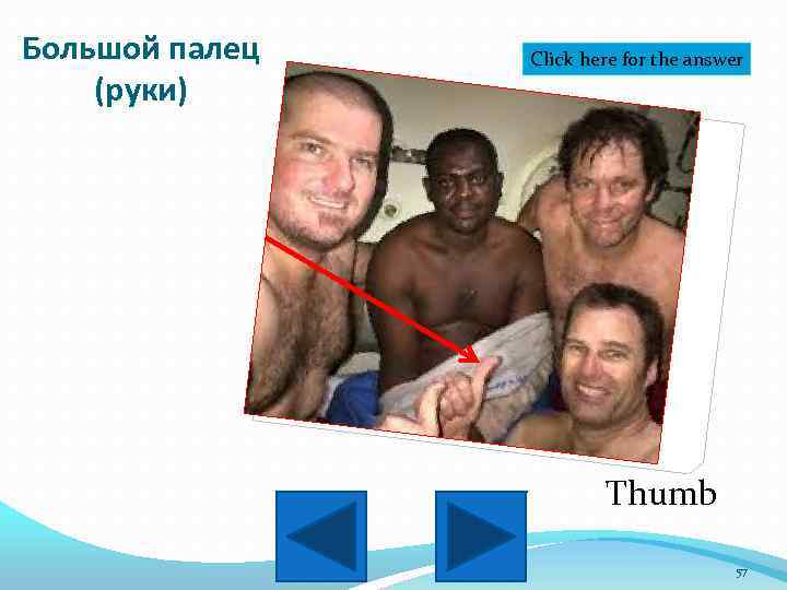 Большой палец (руки) Click here for the answer Thumb 57 