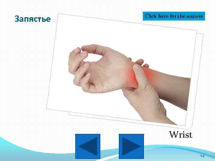 Запястье Click here for the answer Wrist 64 
