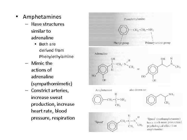  • Amphetamines – Have structures similar to adrenaline • Both are derived from