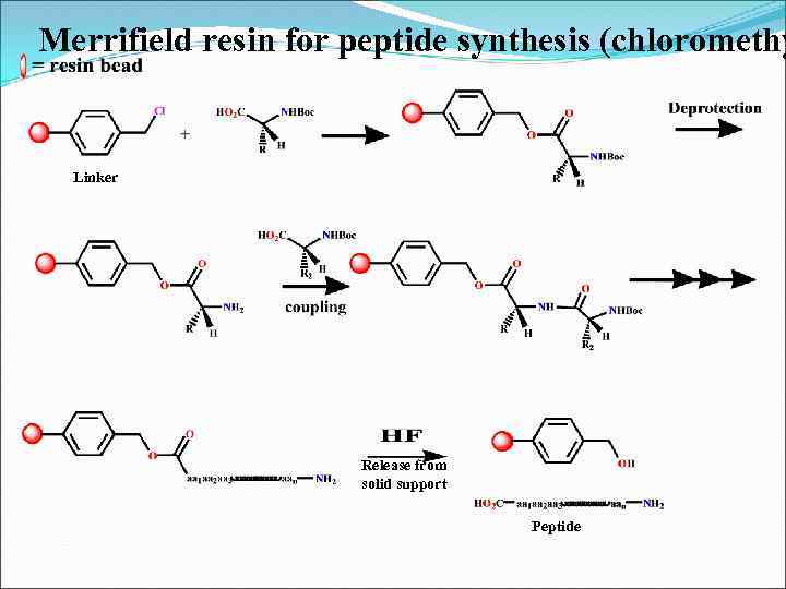 Merrifield resin for peptide synthesis (chloromethy Linker Release from solid support Peptide 