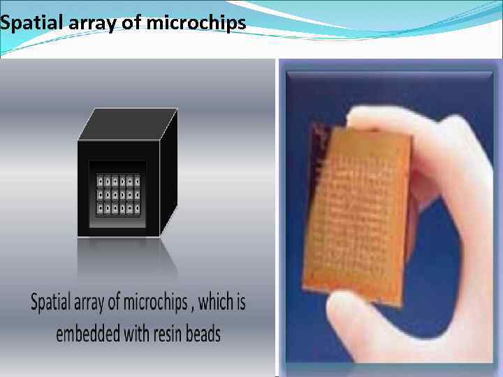 Spatial array of microchips 