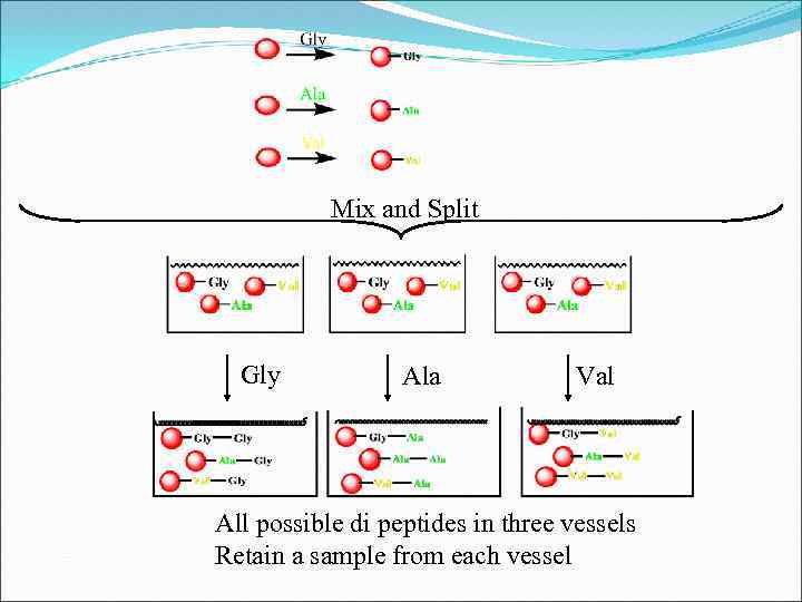 Mix and Split Gly Ala Val All possible di peptides in three vessels Retain