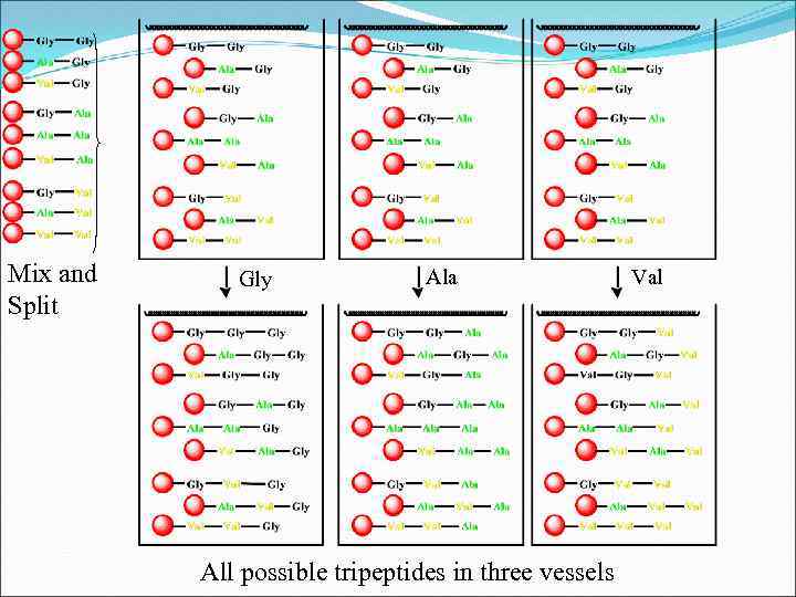 Mix and Split Gly Ala All possible tripeptides in three vessels Val 