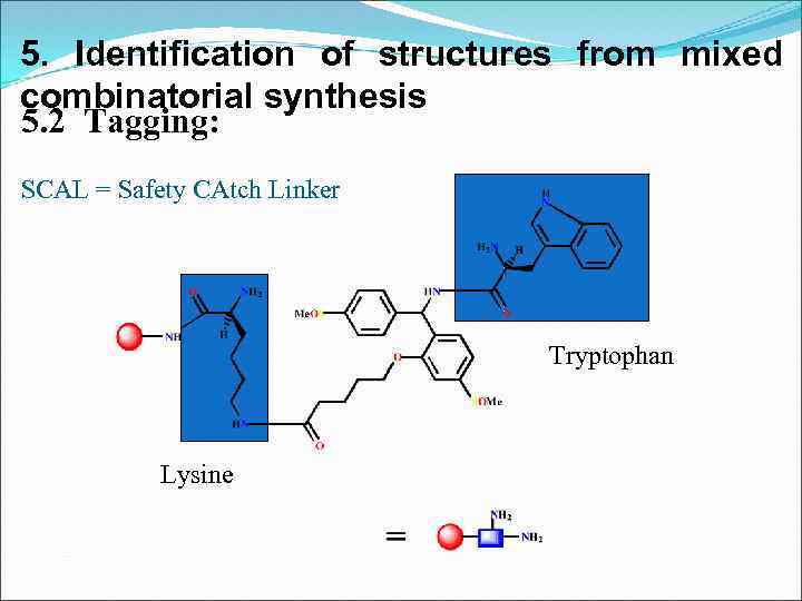 5. Identification of structures from mixed combinatorial synthesis 5. 2 Tagging: SCAL = Safety