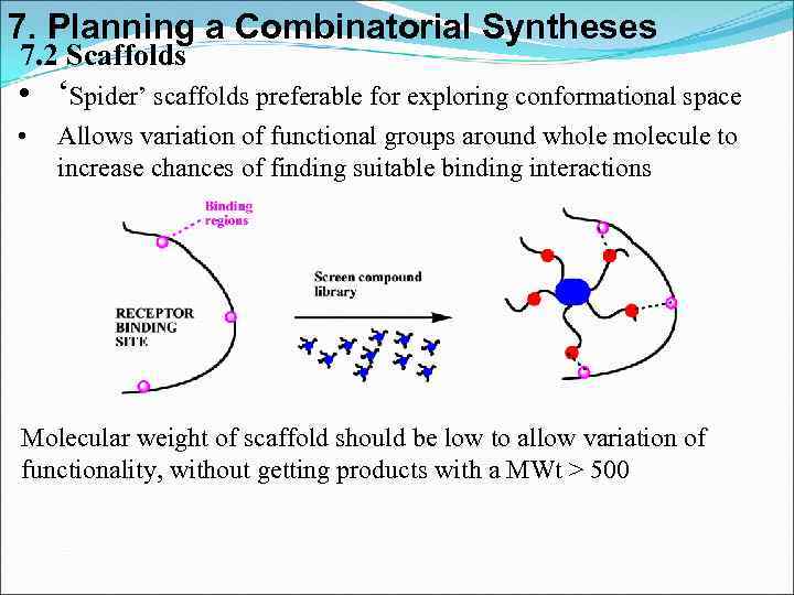 7. Planning a Combinatorial Syntheses 7. 2 Scaffolds • ‘Spider’ scaffolds preferable for exploring