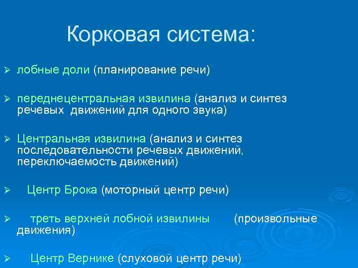 Корковая система: Ø лобные доли (планирование речи) Ø переднецентральная извилина (анализ и синтез речевых
