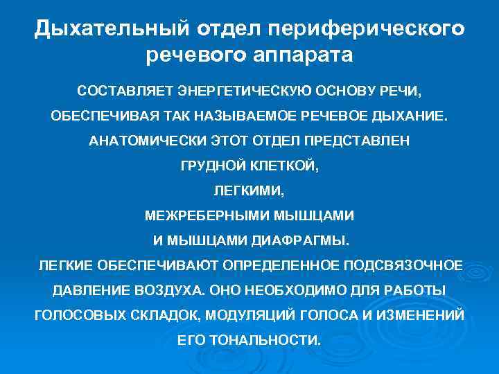 Дыхательный отдел периферического речевого аппарата СОСТАВЛЯЕТ ЭНЕРГЕТИЧЕСКУЮ ОСНОВУ РЕЧИ, ОБЕСПЕЧИВАЯ ТАК НАЗЫВАЕМОЕ РЕЧЕВОЕ ДЫХАНИЕ.