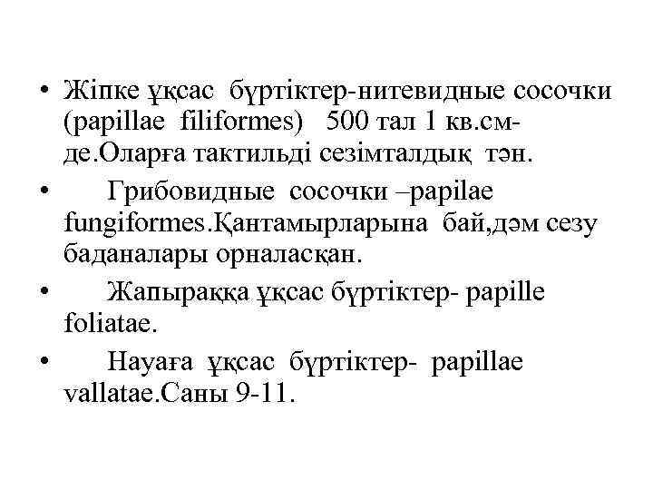  • Жіпке ұқсас бүртіктер-нитевидные сосочки (papillae filiformes) 500 тал 1 кв. смде. Оларға