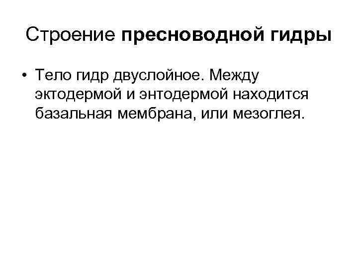 Строение пресноводной гидры • Тело гидр двуслойное. Между эктодермой и энтодермой находится базальная мембрана,