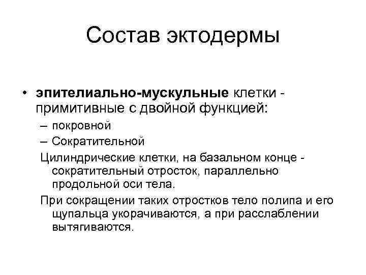 Состав эктодермы • эпителиально-мускульные клетки примитивные с двойной функцией: – покровной – Сократительной Цилиндрические