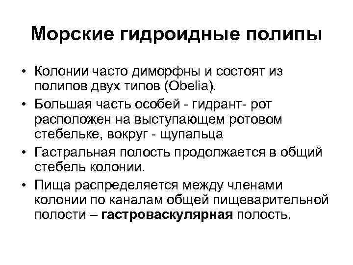 Морские гидроидные полипы • Колонии часто диморфны и состоят из полипов двух типов (Obelia).